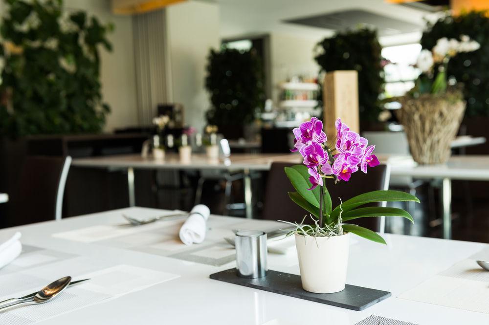 Hotel Apart - Welcoming L Urban Feel L Design Risch-Rotkreuz Zewnętrze zdjęcie